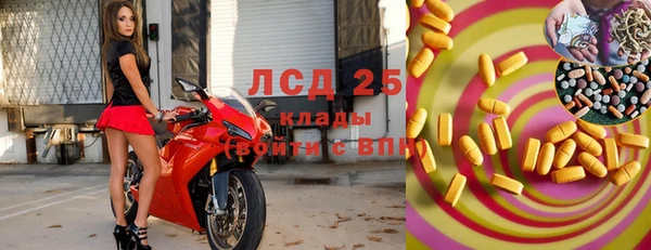 шишки Алексин